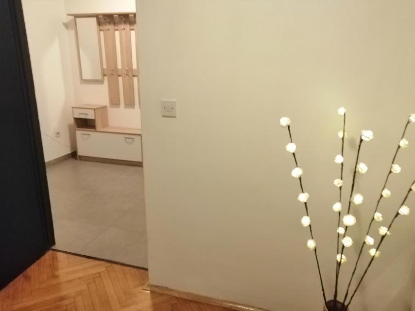 Apartman Sanja Pula Exterior photo